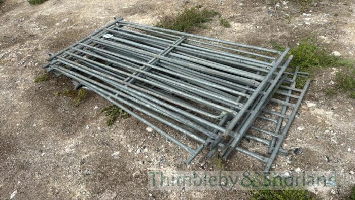10 sheep hurdles
