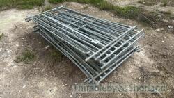 12 sheep hurdles