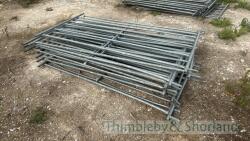 12 sheep hurdles - 2