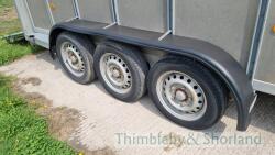 Ifor Williams TA51093 triaxle livestock trailer, 14'x6' (2012) - 4
