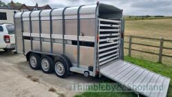 Ifor Williams TA51093 triaxle livestock trailer, 14'x6' (2012) - 8