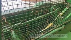 John Deere 459 conventional baler (2013) - 12